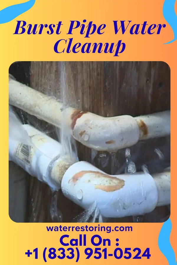 Burst Pipe Water Cleanup in Spring City, PA