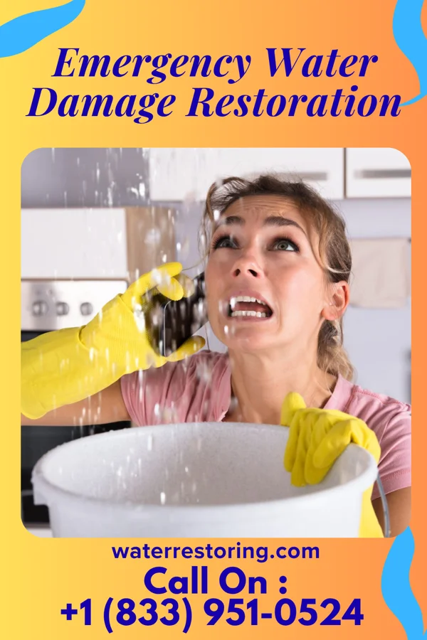 Emergency Water Damage Restoration in Spring City, PA