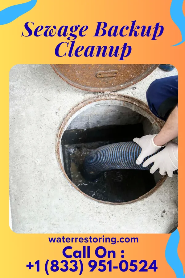Sewage Backup Cleanup in Spring City, PA
