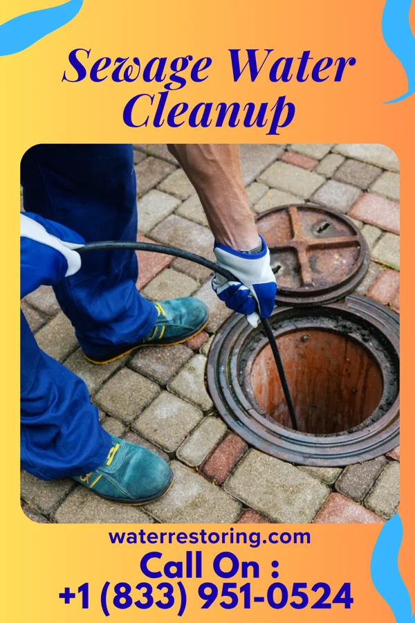 Sewage Water Cleanup in Spring City, PA