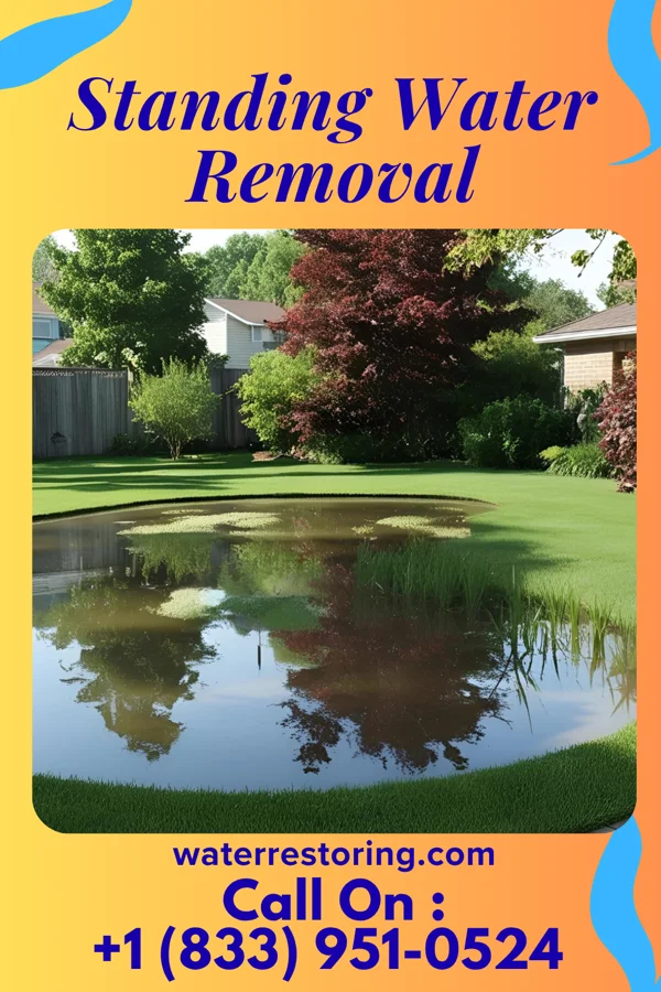 Standing Water Removal in Spring City, PA